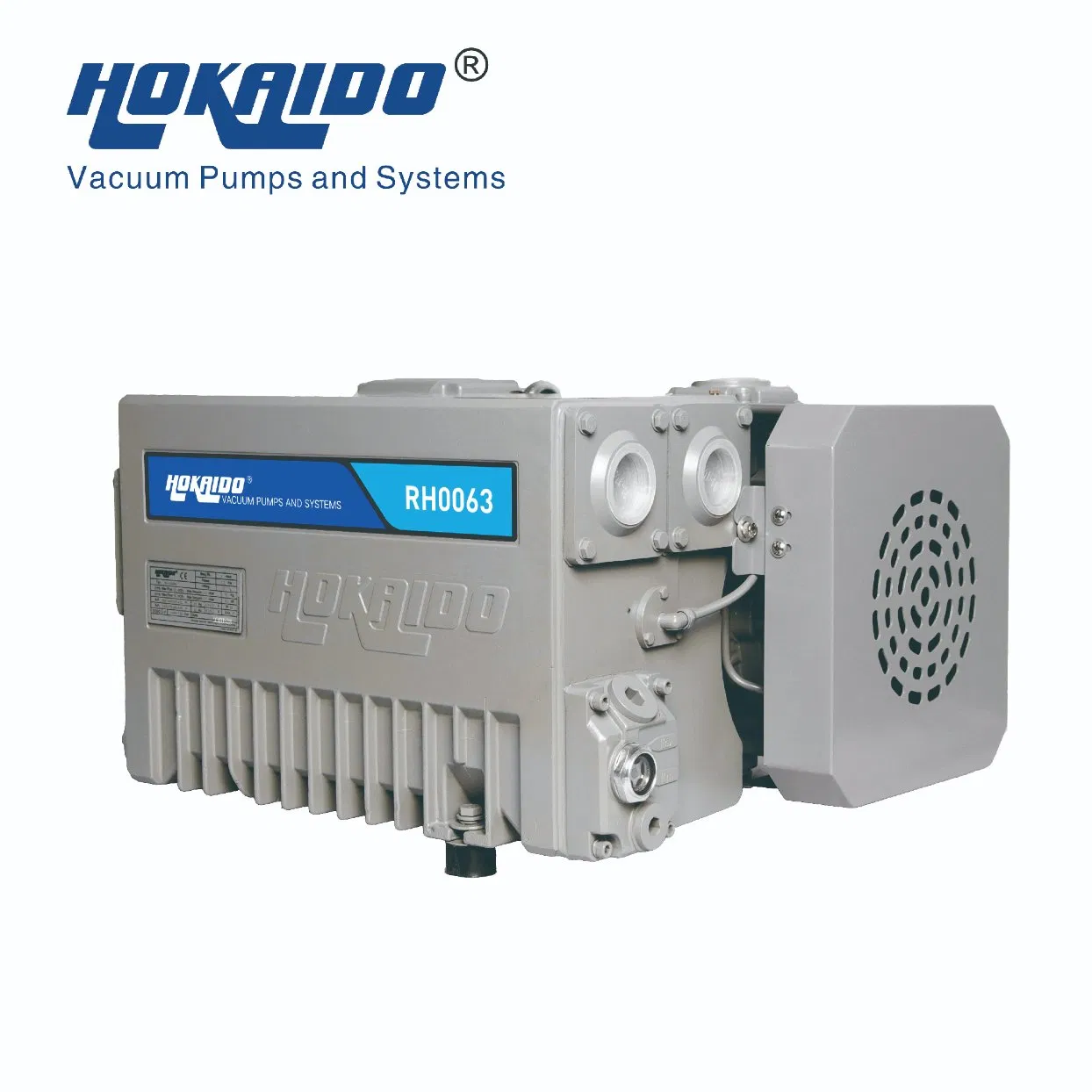 Pompa per vuoto rotativa a palette monostadio Rh0020/63/100/160/200/250/300 per confezionamento sottovuoto